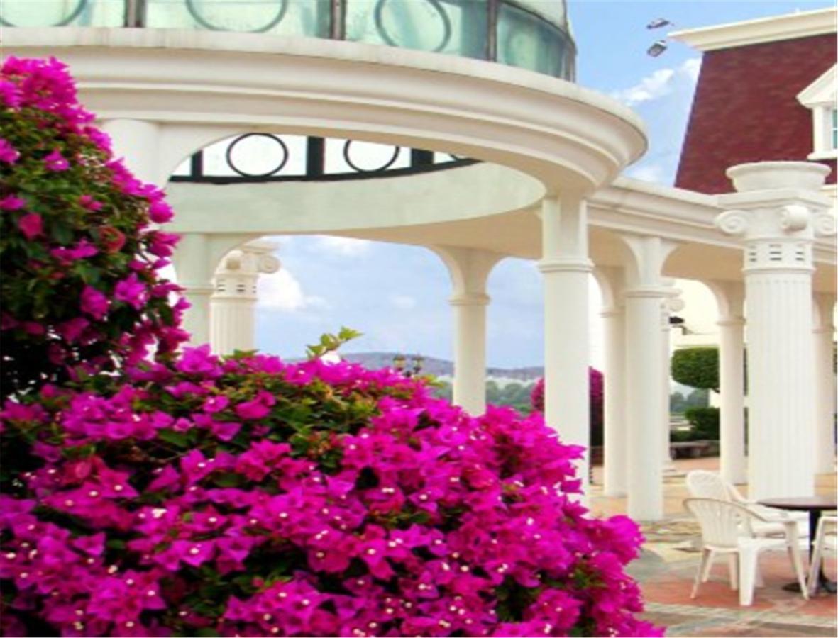 Clifford Golden Lake Hotel Foshan Buitenkant foto